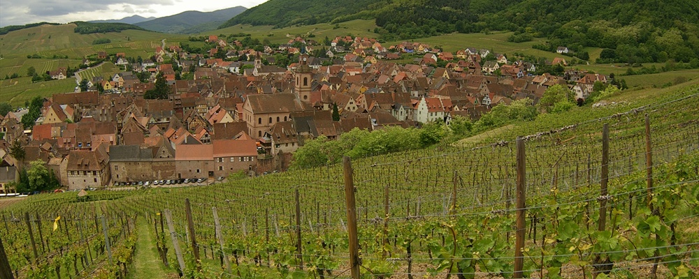 Descending into Riquewihr